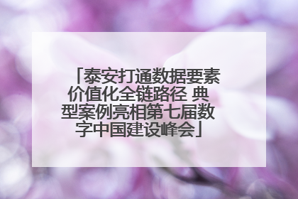 泰安打通数据要素价值化全链路径 典型案例亮相第七届数字中国建设峰会