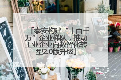 泰安构建“十百千万”企业梯队，推动工业企业向数智化转型2.0版升级