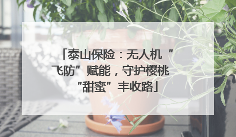 泰山保险：无人机“飞防”赋能，守护樱桃“甜蜜”丰收路