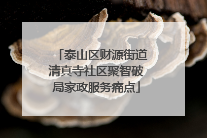 泰山区财源街道清真寺社区聚智破局家政服务痛点
