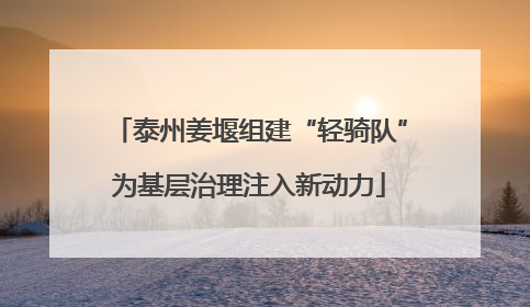 泰州姜堰组建“轻骑队”为基层治理注入新动力