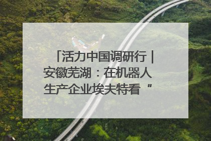 活力中国调研行｜安徽芜湖：在机器人生产企业埃夫特看“中国智造”