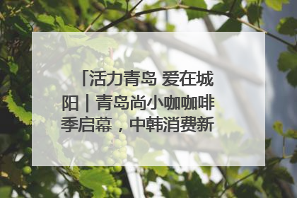 活力青岛 爱在城阳｜青岛尚小咖咖啡季启幕，中韩消费新场景点燃夏日热情