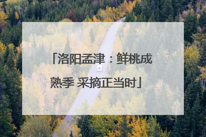 洛阳孟津：鲜桃成熟季 采摘正当时