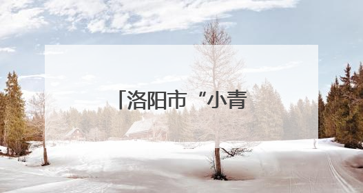 洛阳市“小青柑”助学发展项目走进孟津区