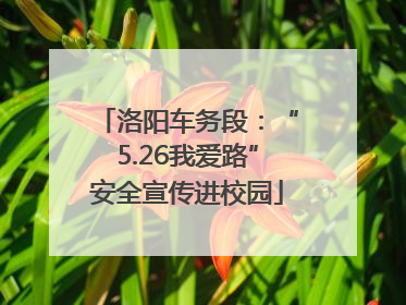 洛阳车务段：“5.26我爱路”安全宣传进校园