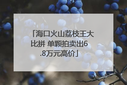 海口火山荔枝王大比拼 单颗拍卖出6.8万元高价