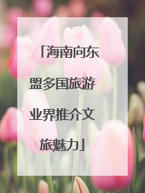 海南向东盟多国旅游业界推介文旅魅力