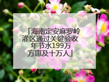 海南定安麻罗岭灌区通过关键验收 年节水199万方惠及十万人