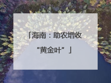 海南：助农增收 “黄金叶”