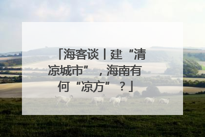 海客谈丨建“清凉城市”，海南有何“凉方”？