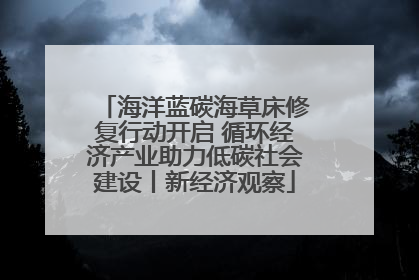 海洋蓝碳海草床修复行动开启 循环经济产业助力低碳社会建设丨新经济观察