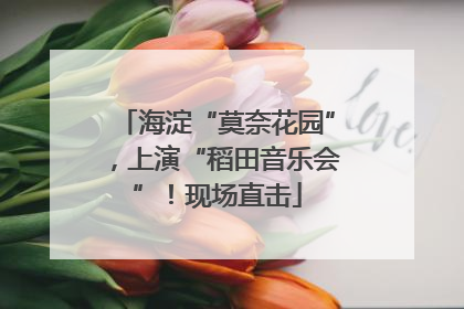 海淀“莫奈花园”，上演“稻田音乐会”！现场直击