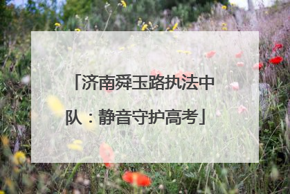 济南舜玉路执法中队：静音守护高考