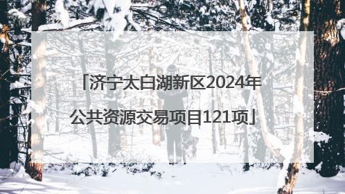 济宁太白湖新区2024年公共资源交易项目121项