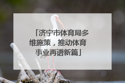 济宁市体育局多维施策，推动体育事业再谱新篇