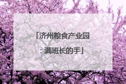 济州粮食产业园：满班长的手
