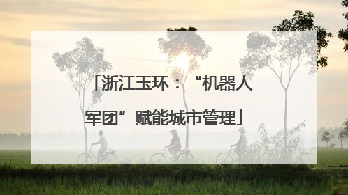 浙江玉环：“机器人军团”赋能城市管理