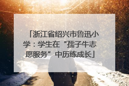 浙江省绍兴市鲁迅小学：学生在“孺子牛志愿服务”中历练成长