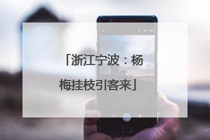 浙江宁波：杨梅挂枝引客来