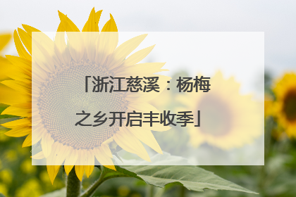 浙江慈溪：杨梅之乡开启丰收季