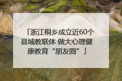 浙江桐乡成立近60个县域教联体 做大心理健康教育“朋友圈”