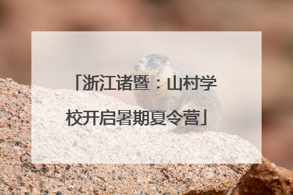 浙江诸暨：山村学校开启暑期夏令营