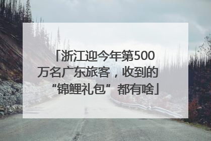 浙江迎今年第500万名广东旅客，收到的“锦鲤礼包”都有啥