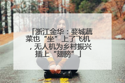 浙江金华：婺城蔬菜也“坐”上了飞机，无人机为乡村振兴插上“翅膀”