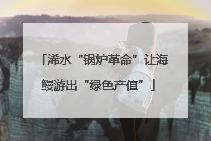 浠水“锅炉革命”让海鳗游出“绿色产值”