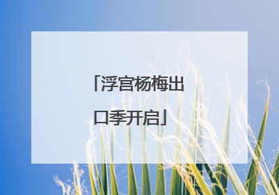 浮宫杨梅出口季开启