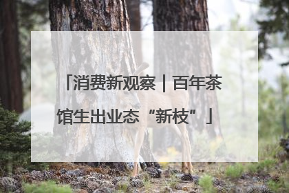 消费新观察｜百年茶馆生出业态“新枝”