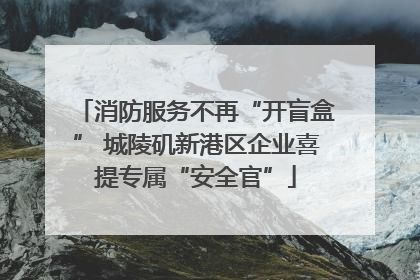 消防服务不再“开盲盒” 城陵矶新港区企业喜提专属“安全官”