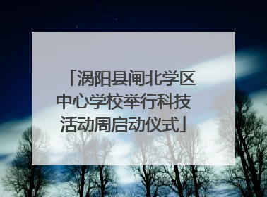 涡阳县闸北学区中心学校举行科技活动周启动仪式