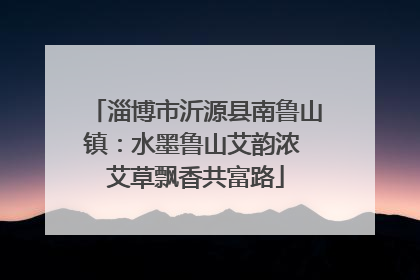 淄博市沂源县南鲁山镇：水墨鲁山艾韵浓 艾草飘香共富路