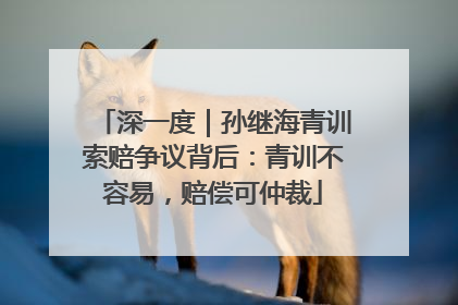 深一度｜孙继海青训索赔争议背后：青训不容易，赔偿可仲裁
