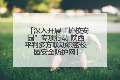 深入开展“护校安园”专项行动 陕西平利多方联动织密校园安全防护网