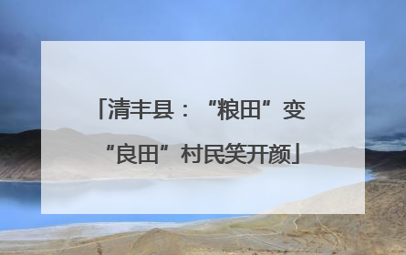 清丰县：“粮田”变“良田”村民笑开颜