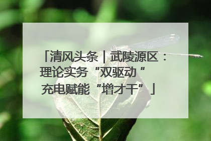 清风头条｜武陵源区：理论实务“双驱动 ” 充电赋能“增才干”