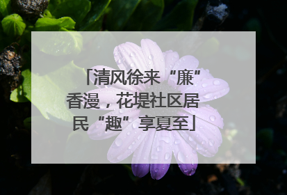 清风徐来“廉”香漫，花堤社区居民“趣”享夏至