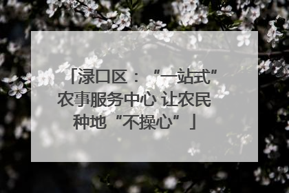 渌口区：“一站式”农事服务中心 让农民种地“不操心”