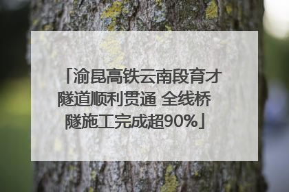 渝昆高铁云南段育才隧道顺利贯通 全线桥隧施工完成超90%