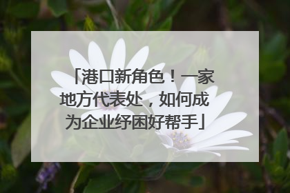 港口新角色！一家地方代表处，如何成为企业纾困好帮手