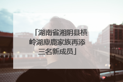 湖南省湘阴县横岭湖麋鹿家族再添三名新成员