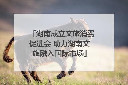 湖南成立文旅消费促进会 助力湖南文旅融入国际市场