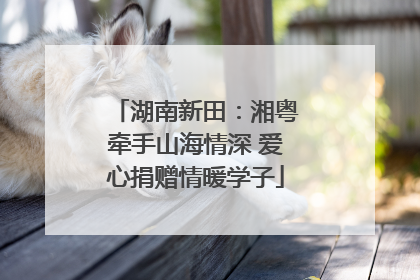 湖南新田：湘粤牵手山海情深 爱心捐赠情暖学子