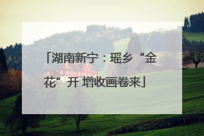 湖南新宁：瑶乡“金花”开 增收画卷来