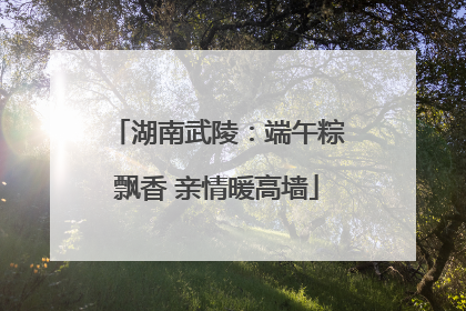 湖南武陵：端午粽飘香 亲情暖高墙