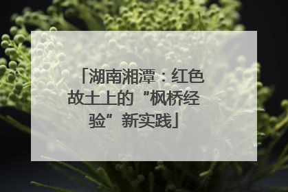 湖南湘潭：红色故土上的“枫桥经验”新实践