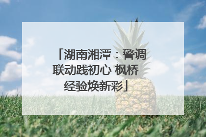 湖南湘潭：警调联动践初心 枫桥经验焕新彩